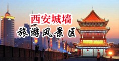 日B透B操B抽B中国陕西-西安城墙旅游风景区